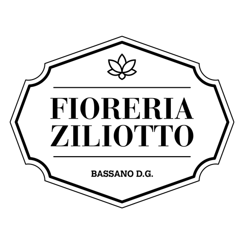 Fioreria Ziliotto - Bassano del Grappa