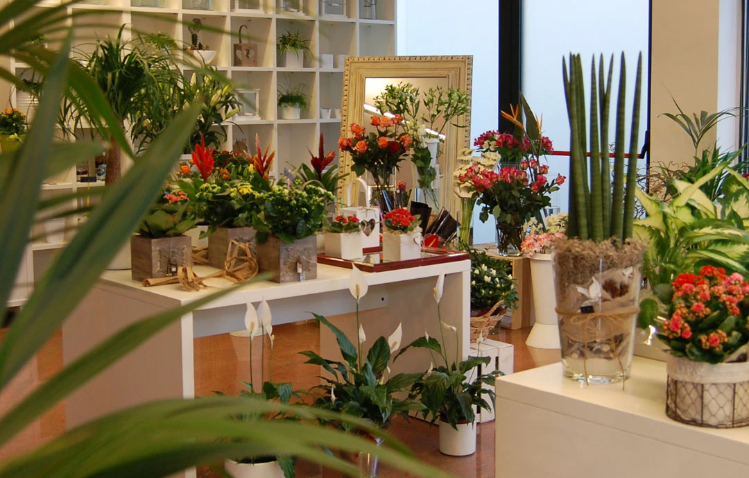 Prodotti - Fioreria Ziliotto - Bassano del Grappa