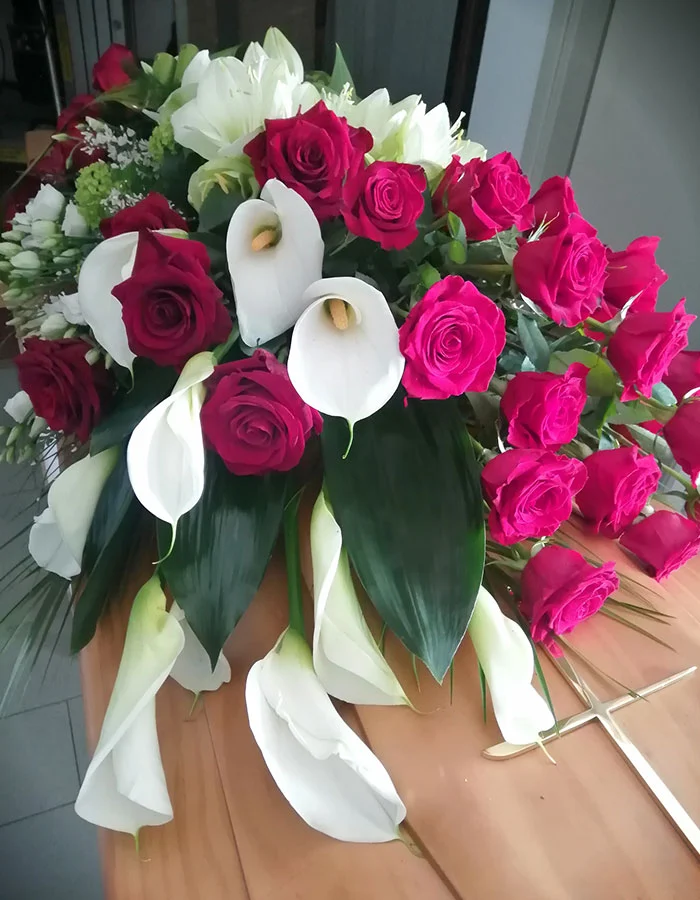 Prodotti - Fioreria Ziliotto - Bassano del Grappa