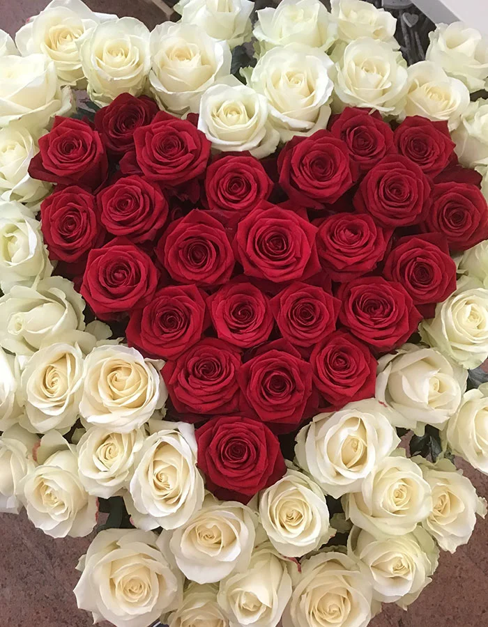 Prodotti - Fioreria Ziliotto - Bassano del Grappa