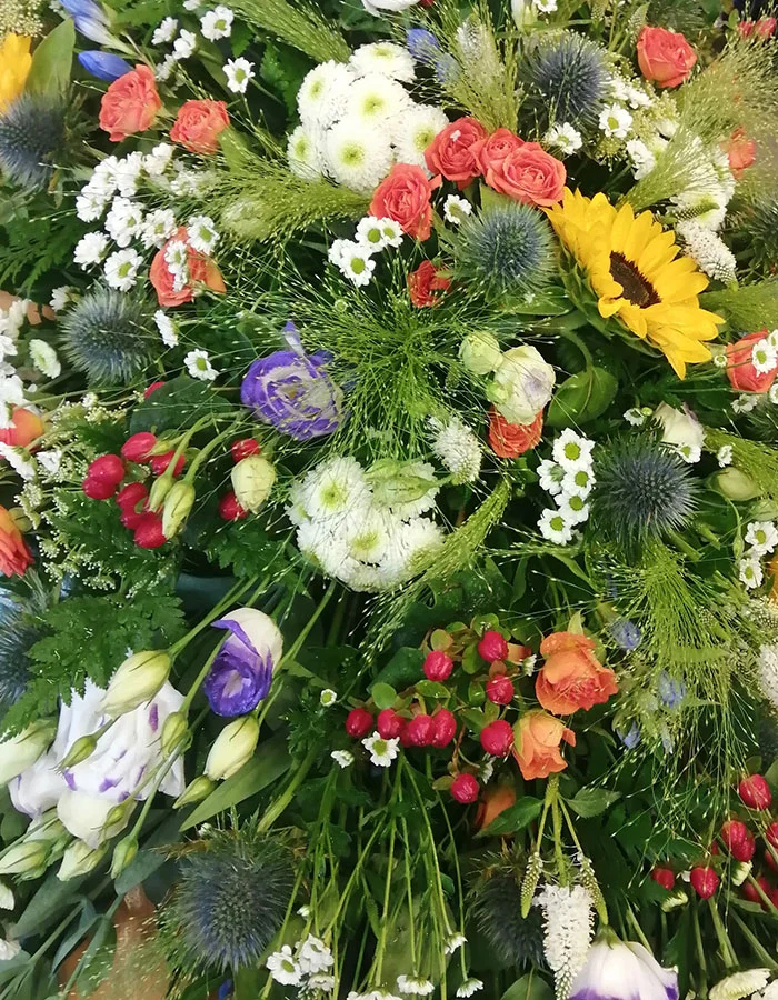 Prodotti - Fioreria Ziliotto - Bassano del Grappa