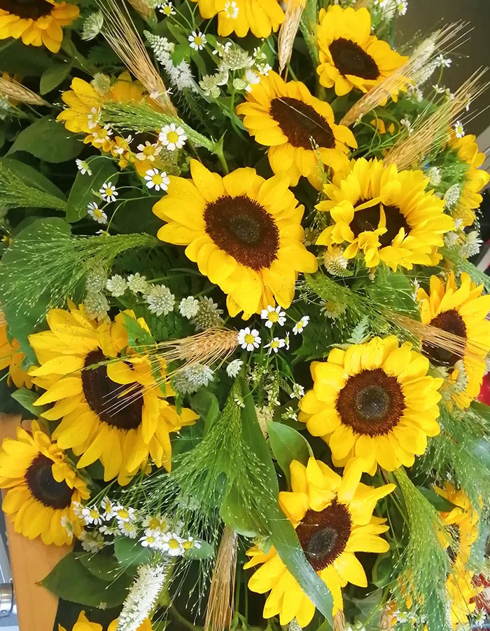 Prodotti - Fioreria Ziliotto - Bassano del Grappa