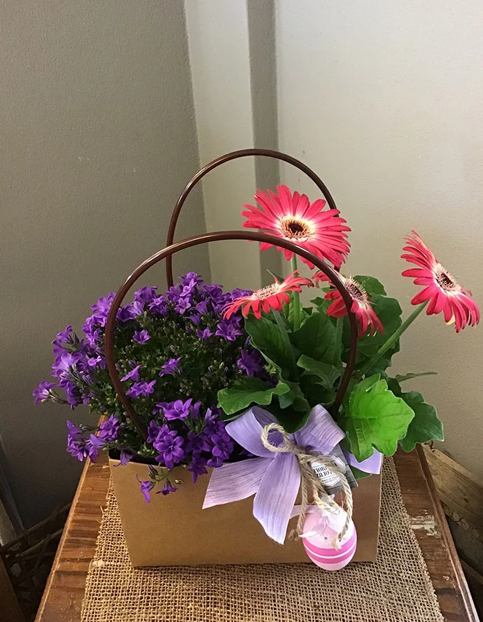 Prodotti - Fioreria Ziliotto - Bassano del Grappa