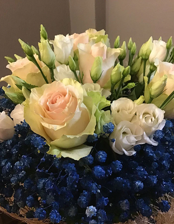 Prodotti - Fioreria Ziliotto - Bassano del Grappa