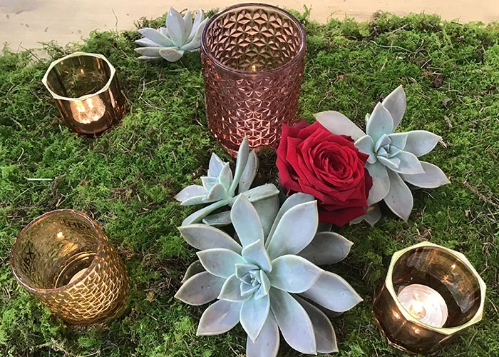 Servizi - Fioreria Ziliotto - Bassano del Grappa